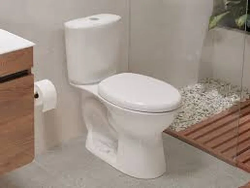 Sanitario